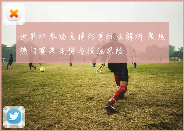 世界杯单场竞猜彩票玩法解析 聚焦热门赛果走势与投注风险