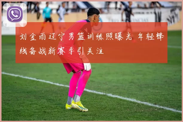 刘金雨辽宁男篮训练照曝光 年轻锋线备战新赛季引关注